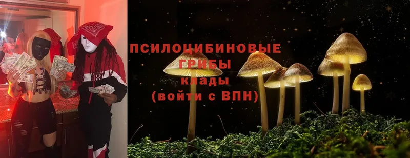 Псилоцибиновые грибы Magic Shrooms  магазин    Гурьевск 